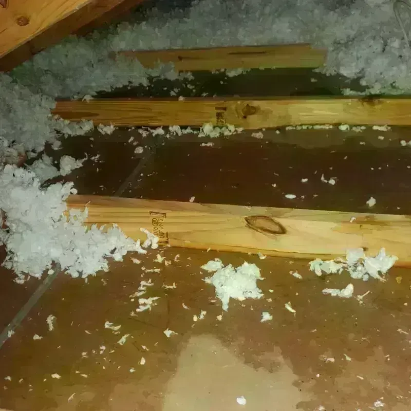 Attic Water Damage in Venice, CA