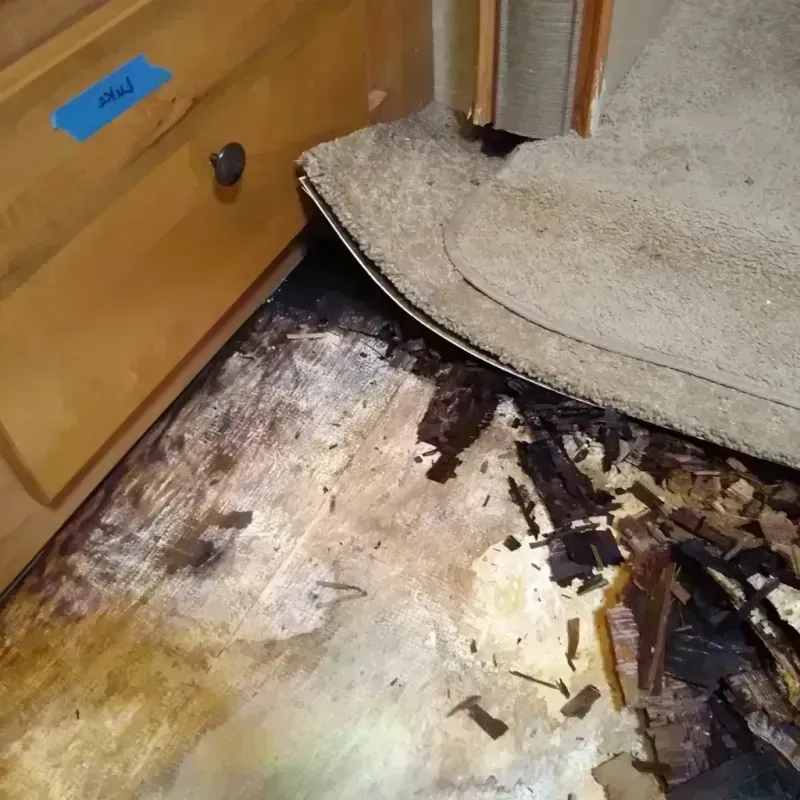 Wood Floor Water Damage in Venice, CA